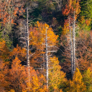 Endless places to stop and enjoy scenery like this .(Phone Photo)