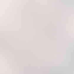 Anastasia Island Dunes Patterns