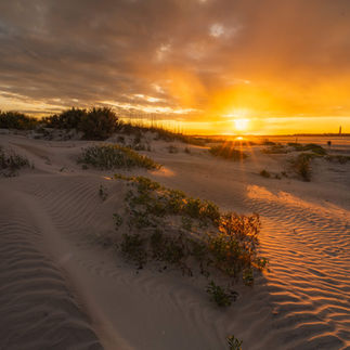 New Smyrna Sand Dunes Park