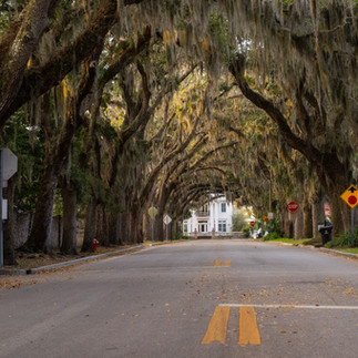 Magnolia Ave