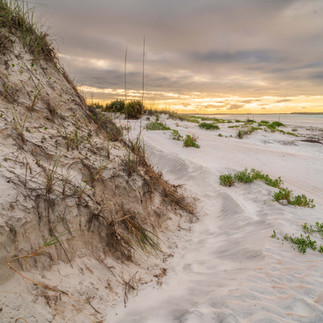 New Smyrna Sand Dunes Park