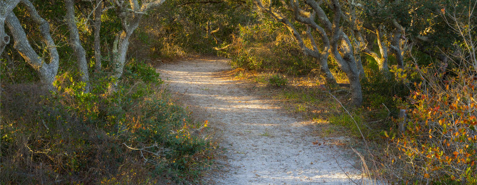 Coastal Strand Trail North Peninsula State Park
