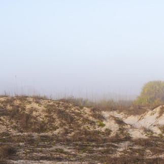 Anastasia Island Dunes in Fog