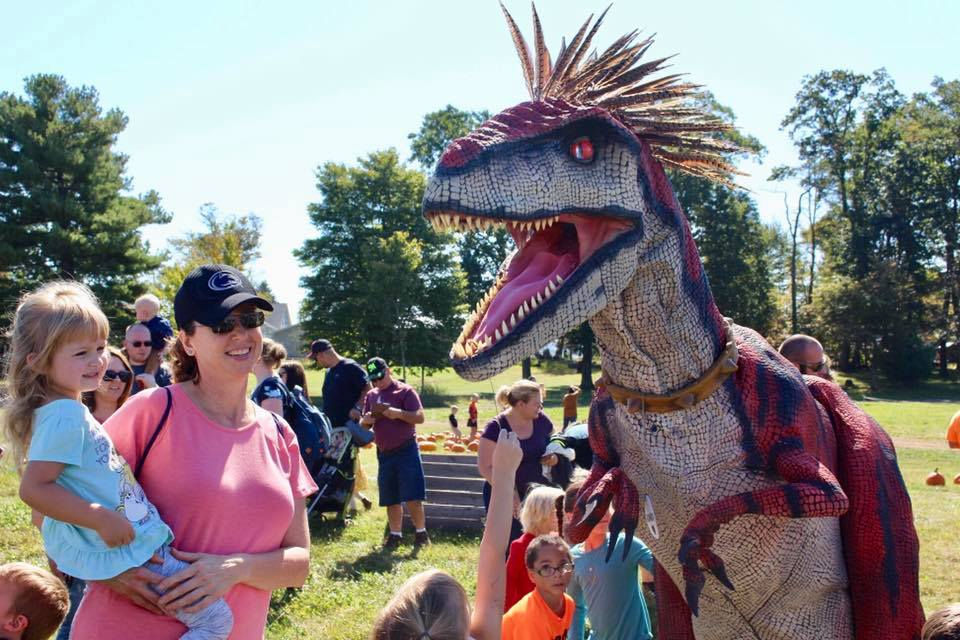 70760523_1136797199846196_83269177827047