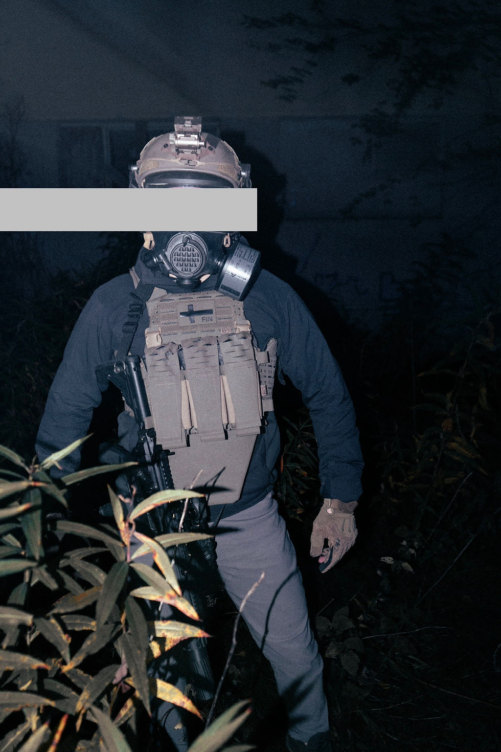 Thumbnail: PC02 PLATE BAGS
