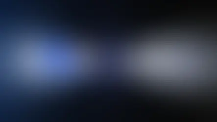 Falkon SMS vs Textedly: Which SMS Platform Is Right for Your Business? 