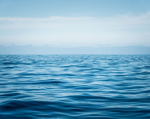 Covalence Global x Lauren Hacke