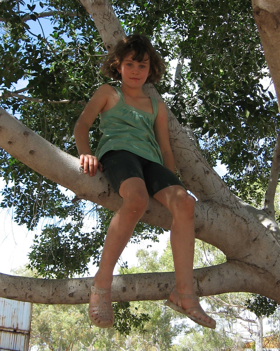 climbing trees again