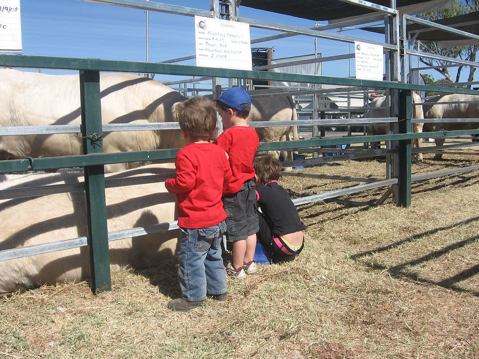 Cloncurry