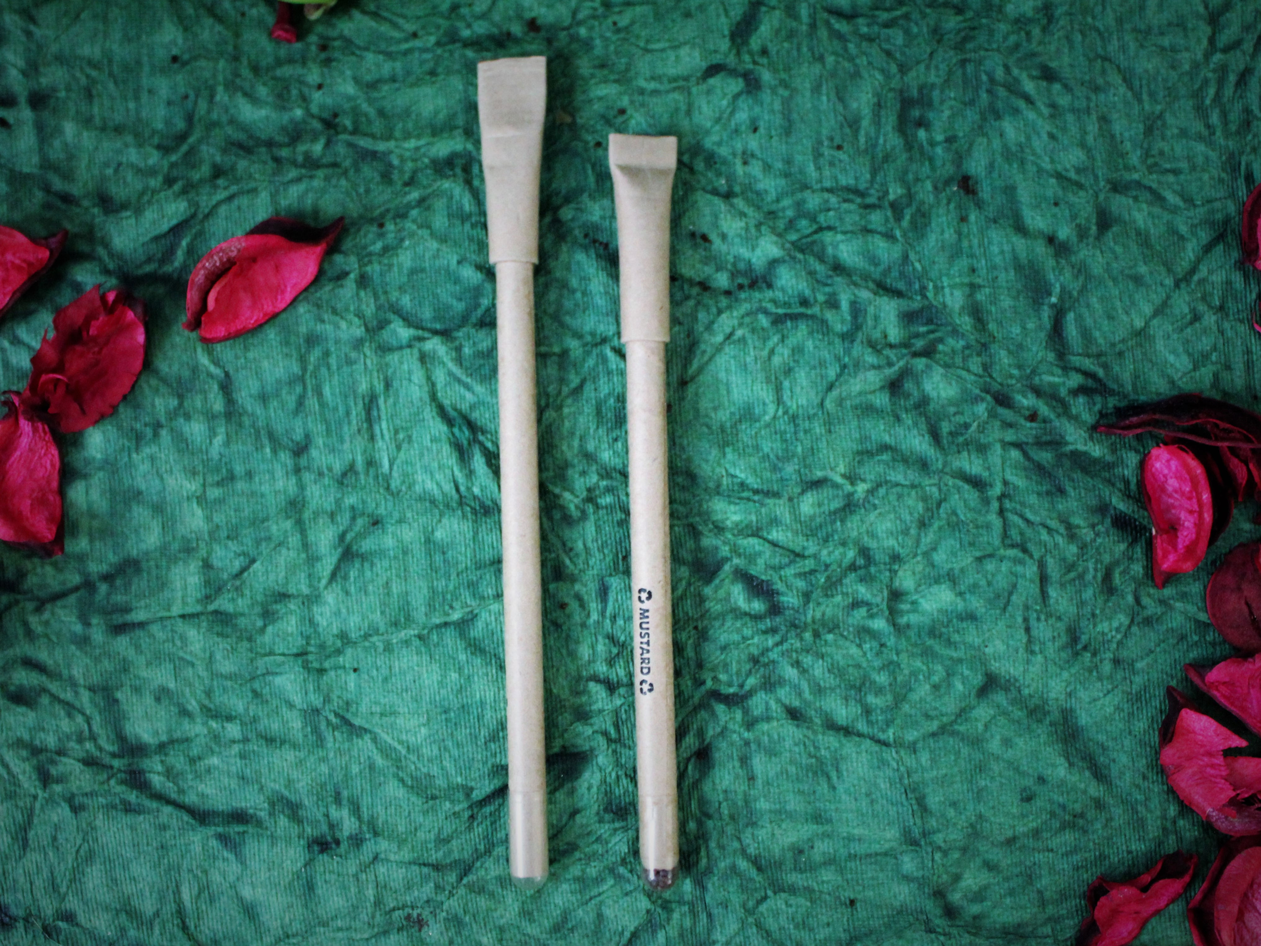 Grow Your Own Plant Methi Pen