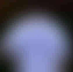 A person wearing a white T-shirt with a cartoon duck and the playful text "Surprise mother quacker." The backdrop features colourful foliage.