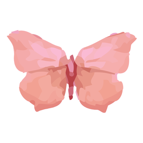 Yellow Butterfly Illustration