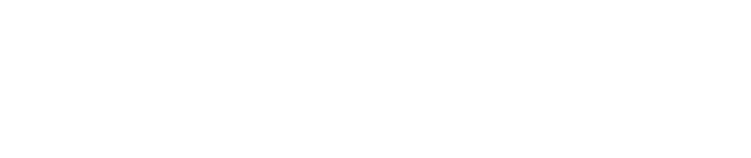 Opus Media