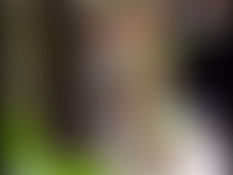 VEGETAÇÃO USANDO PALLET