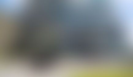 Montfleury op de Florifair - 4,5,6 november 2025