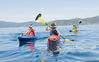 Explore the Bay from Monterey
