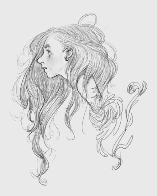 Sketch
