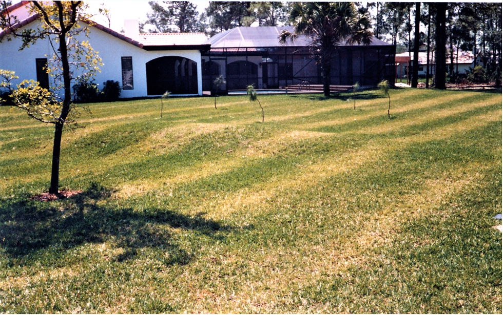 patchy application-hills.jpg