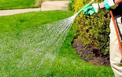 Spray Fertilizer Application