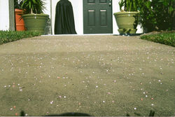 Pellets on driveway