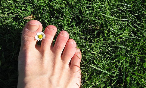 homepage_toes-daisy.jpg