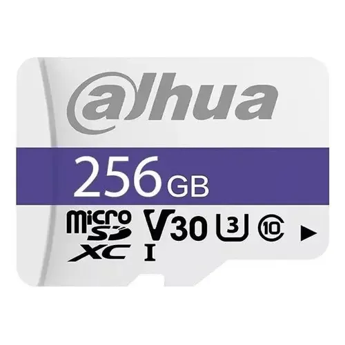 Memorias exclusivas para camaras de vigilancia TF-C100/256GB