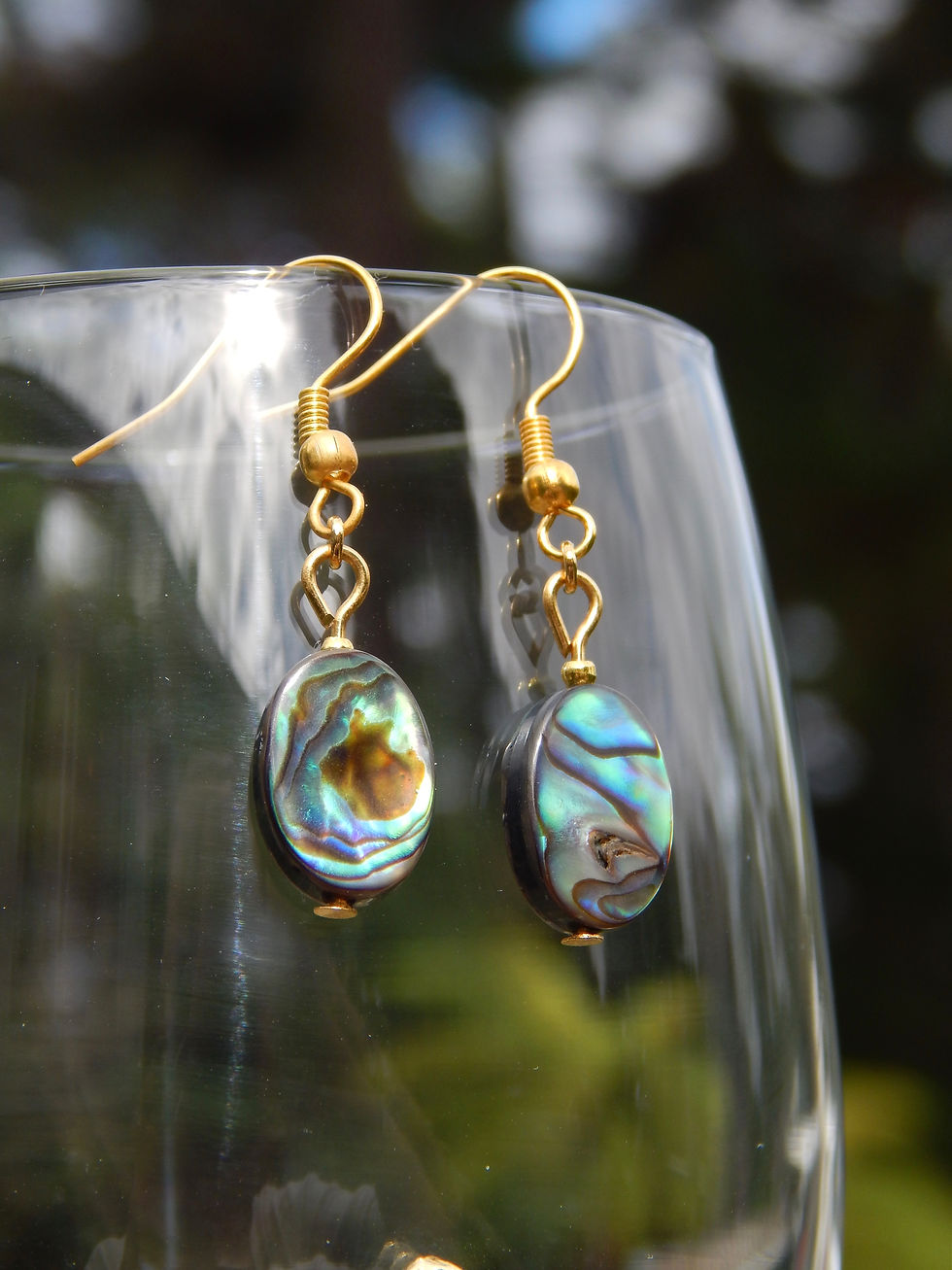 Paua Earrings