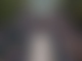 Operation Lion - London Bridge: A Grip's eye view of the Queen's Funeral