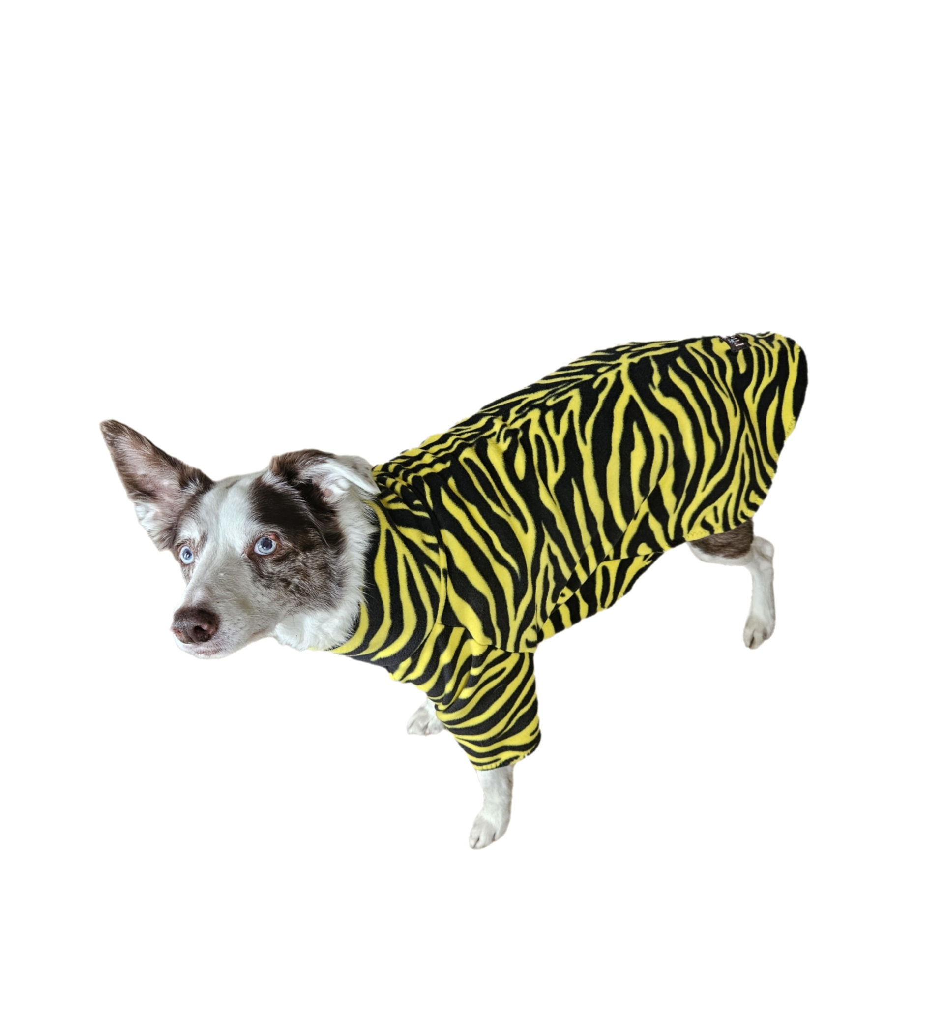 Yellow Zebra Made to Measure Jumpers from