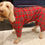Thumbnail: Onesie Velcro Back
