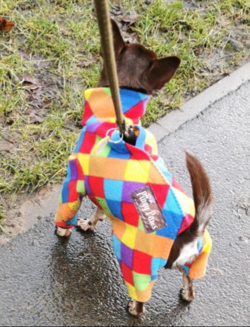 Thumbnail: Made to Measure Velcro Back Onesie/Snood Onesie/Jumper/Vest with Collar