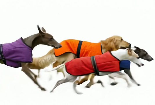 Thumbnail: Sighthound Lightweight Waterproof Jacket
