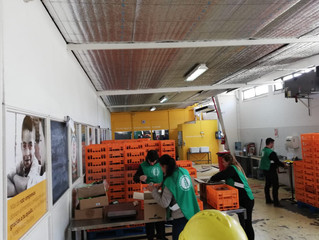 Recorrimos el Banco de Alimentos