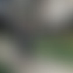 La Ciudad continúa mejorando los espacios públicos