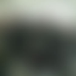 Ampliación del anillo digital con el Municipio de Lanús