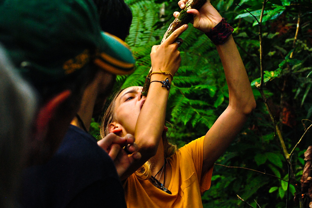 Jungle treks in Amazonas