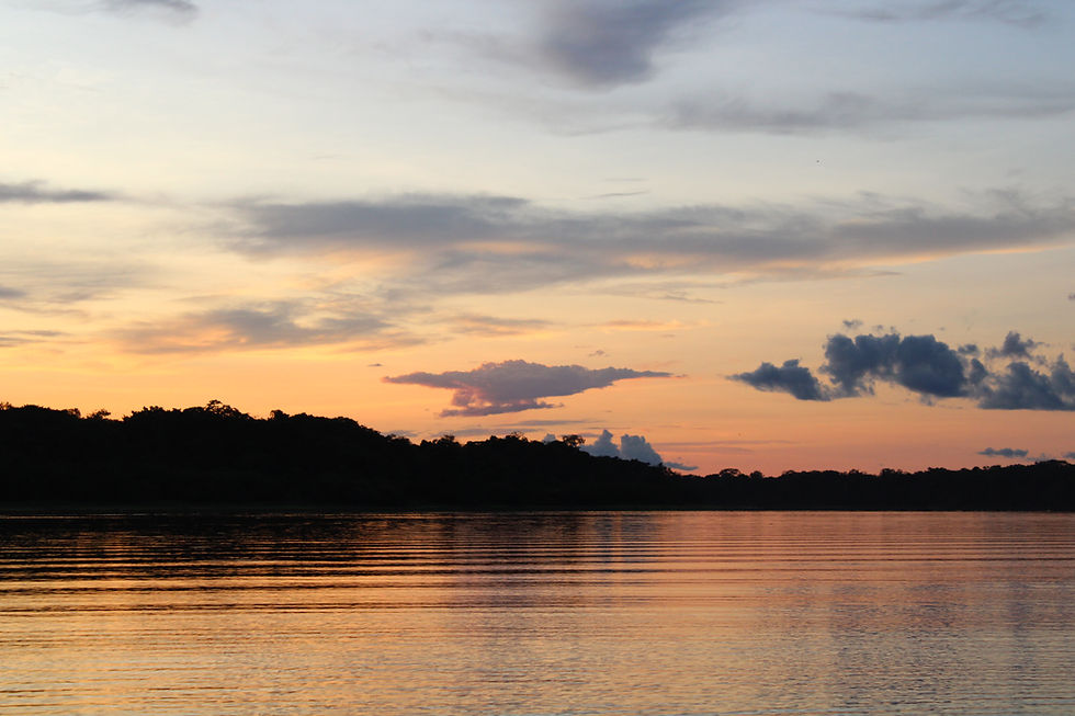 TARAPOTO LAKES PUERTO NARINO AMAZONAS COLOMBIA.JPG