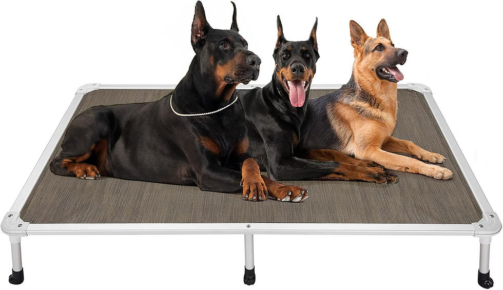 Thumbnail: Veehoo Chew Proof Elevated Dog Bed - Cooling Raised Pet Cot - Silver Aluminum F