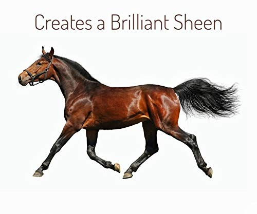 Thumbnail: MinkSheen Pet Shampoo - 128 oz