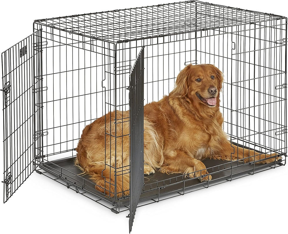 Thumbnail: MidWest Homes for Pets Newly Enhanced Double Door iCrate Dog Crate, Includes Le