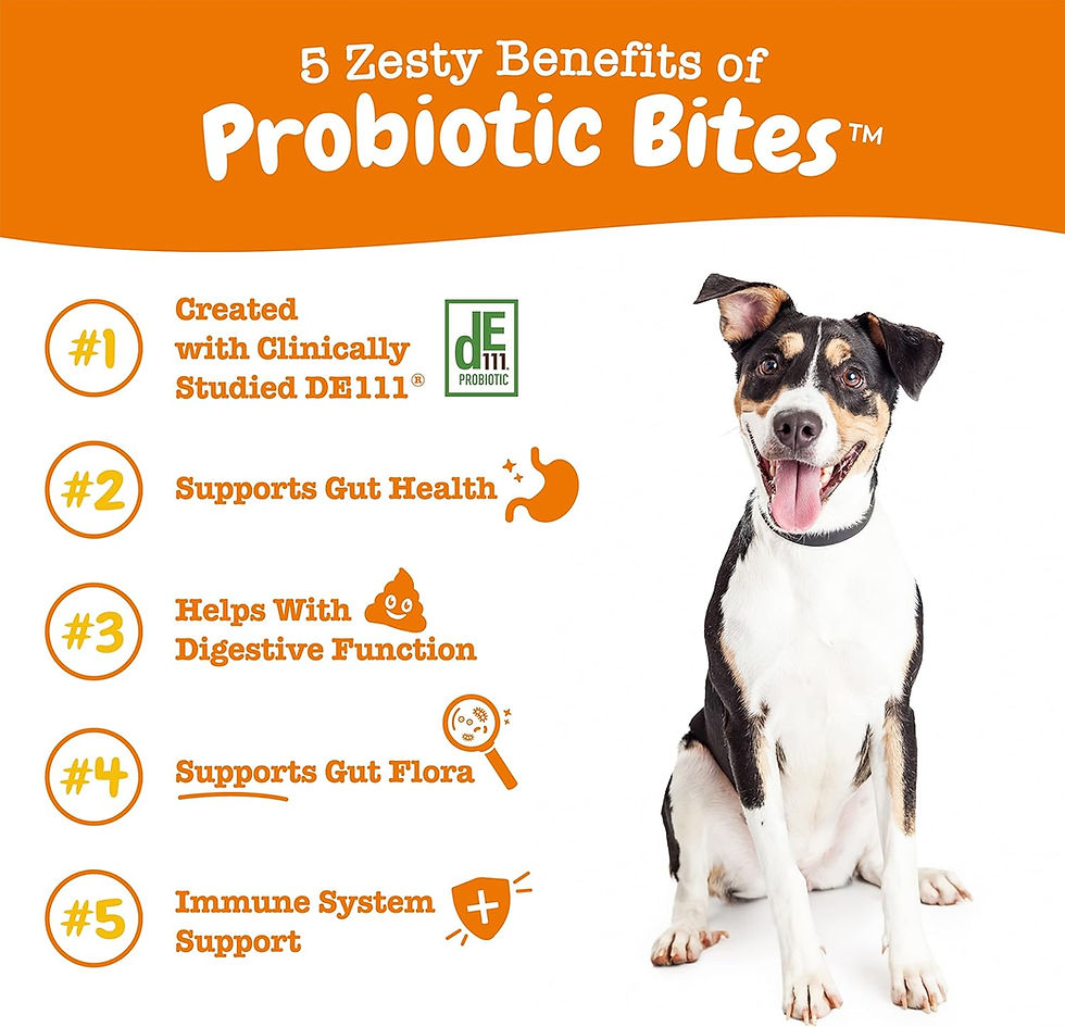 Thumbnail: Zesty Paws Probiotics for Dogs - Digestive Enzymes for Gut Flora, Digestive Hea