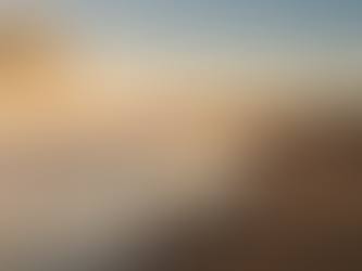 Balade à Cheval sur la Plage: Activités relaxantes et découverte de la côte atlantique