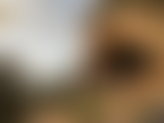 Plongez dans 150 000 ans d'histoire ! 🌍 L'entrée de la mystérieuse Grotte de Bizmoune, près d'Essaouira. C'est ici que l'Homo sapiens marocain a façonné les plus anciens ornements du monde, marquant l'aube de la pensée symbolique. Une fenêtre sur le Paléolithique Moyen, là où tout a commencé