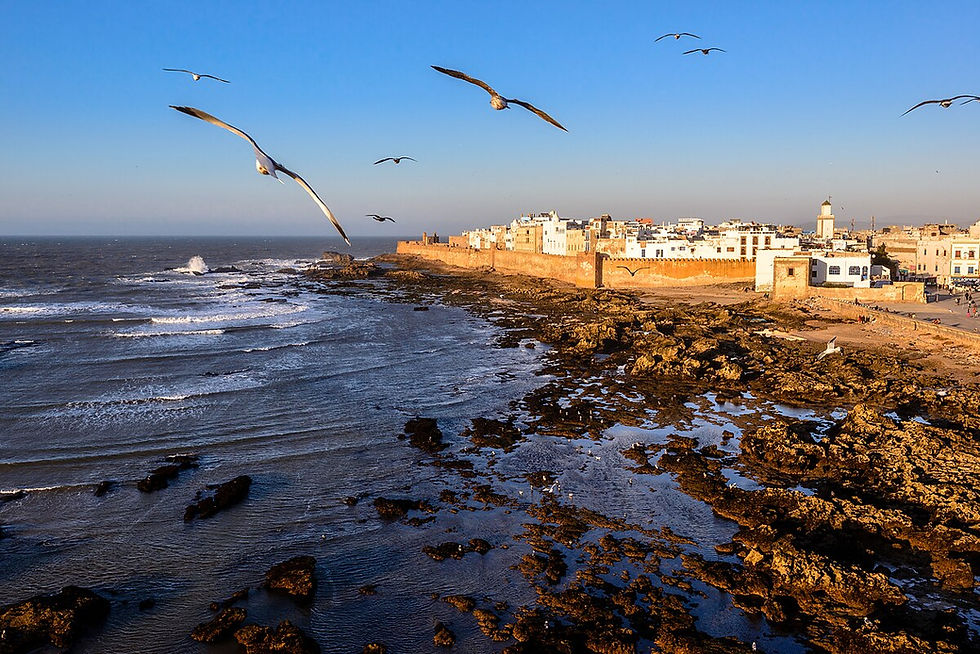 Essaouira, joyau authentique du Maroc, séduit par son architecture millénaire et son ambiance paisible. Le coût de la vie à Essaouira y est agréablement accessible, offrant un excellent rapport qualité-prix pour un séjour ou une installation au bord de l’Atlantique.