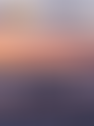 Essaouira Équestre - Plage au coucher du soleil: Expédition équestre sur la plage au coucher du soleil