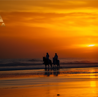 Balade à Cheval: Balade à cheval au coucher du soleil