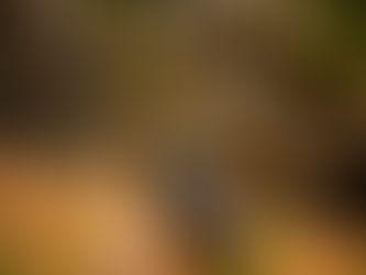 【再入荷】ソーヴィニョン ブランから作られたホワイトバルサミコ