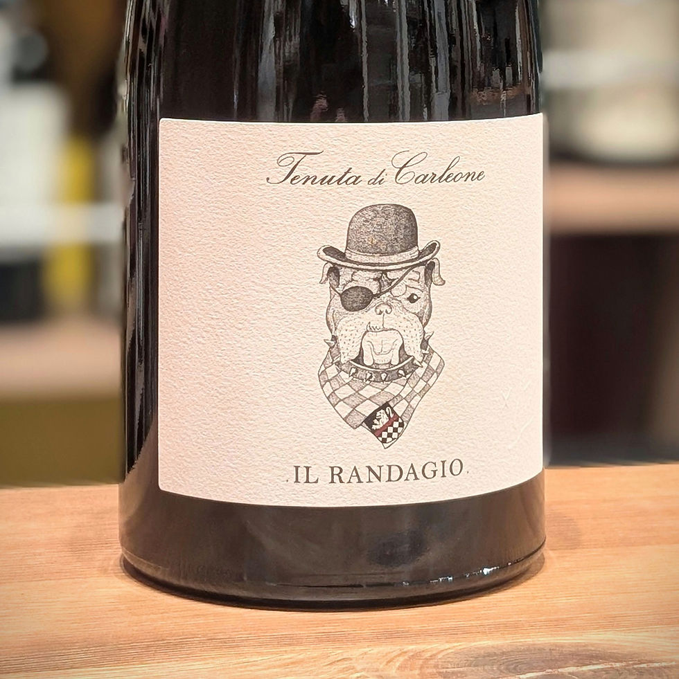イタリア・トスカーナ州 テヌータ ディ カルレオーネ トスカーナ IGT ロッソ “イル ランダージオ” 2023年 赤ワイン マグナムサイズ(1,500ml)の商品の写真