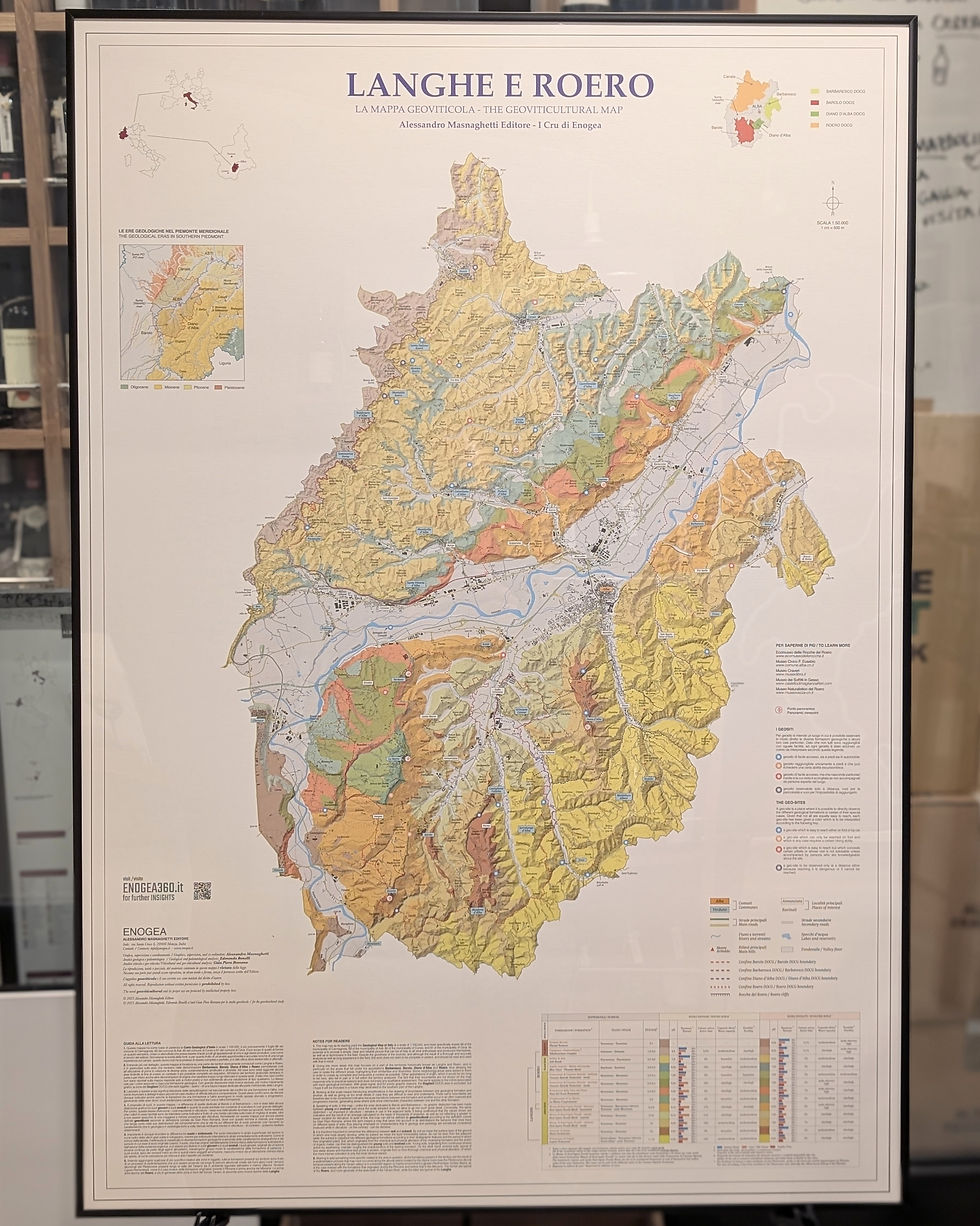 『ENOGEA』の最新マップが届きました✨