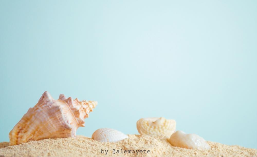 untitled image